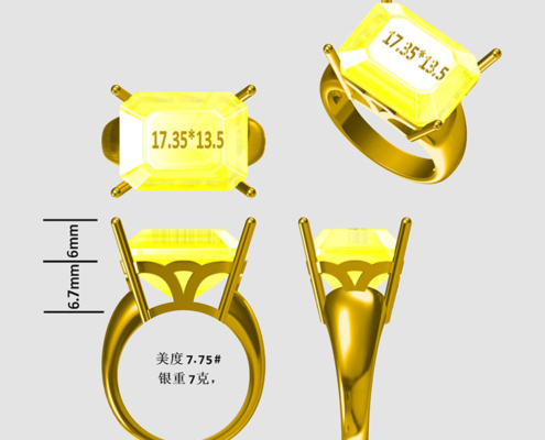 DIY Jewellery Custom Made Ring 3D Design