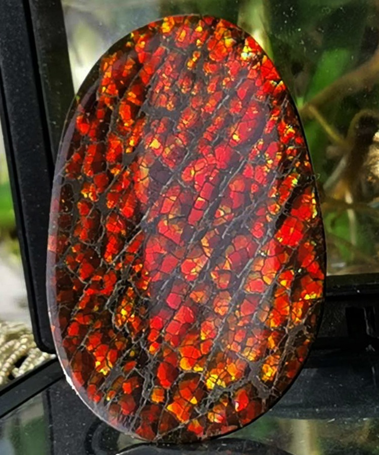DIY Jewellery Custom Made Double-sided red colour Ammolite